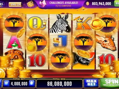 Captura de tela do App bet655 - Interface Principal